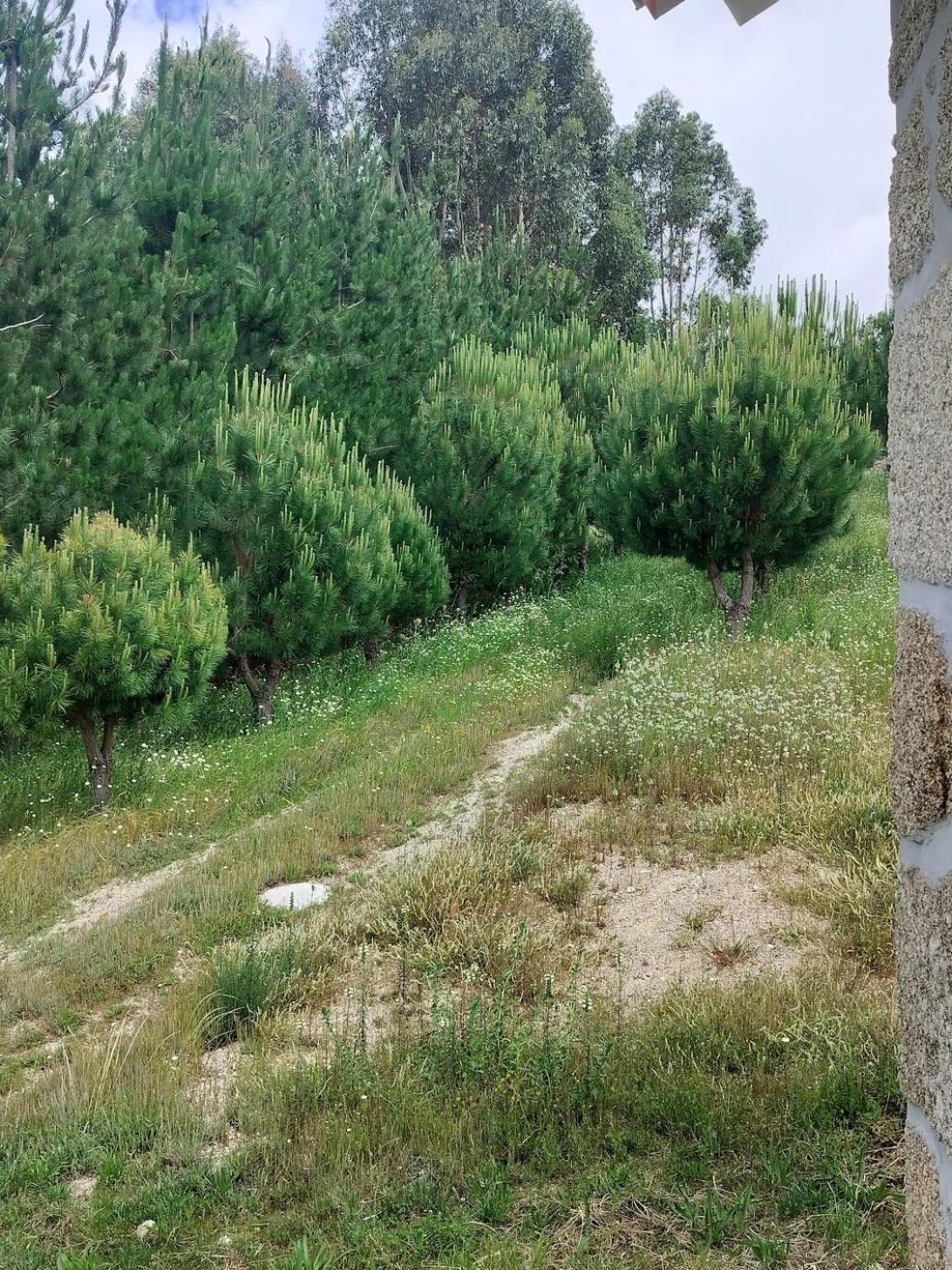 Arpuro Βίλα Gouveia  Εξωτερικό φωτογραφία