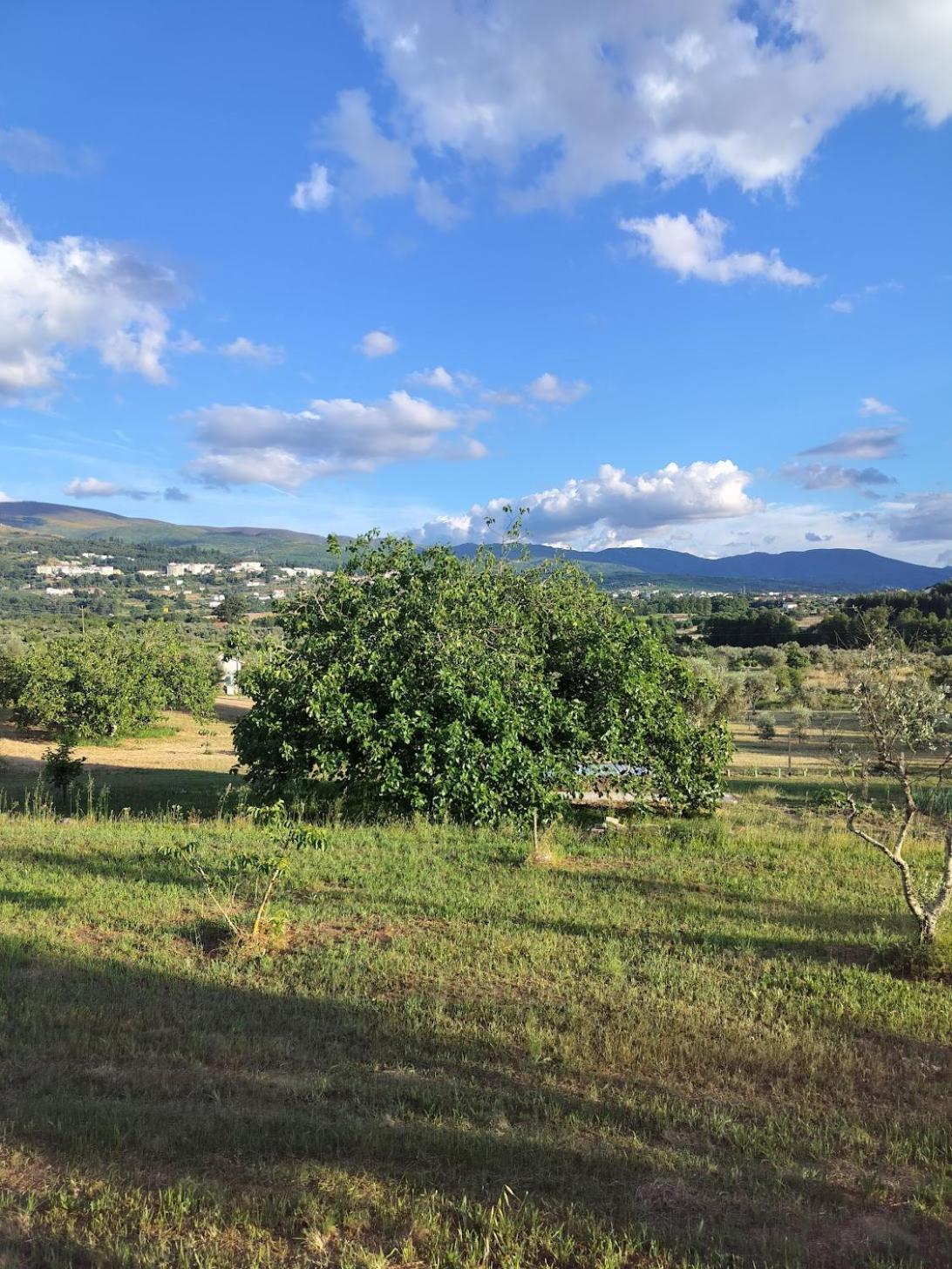 Arpuro Βίλα Gouveia  Εξωτερικό φωτογραφία